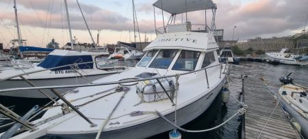 30ft Ace Craft Sports Fisher “Addictive”
