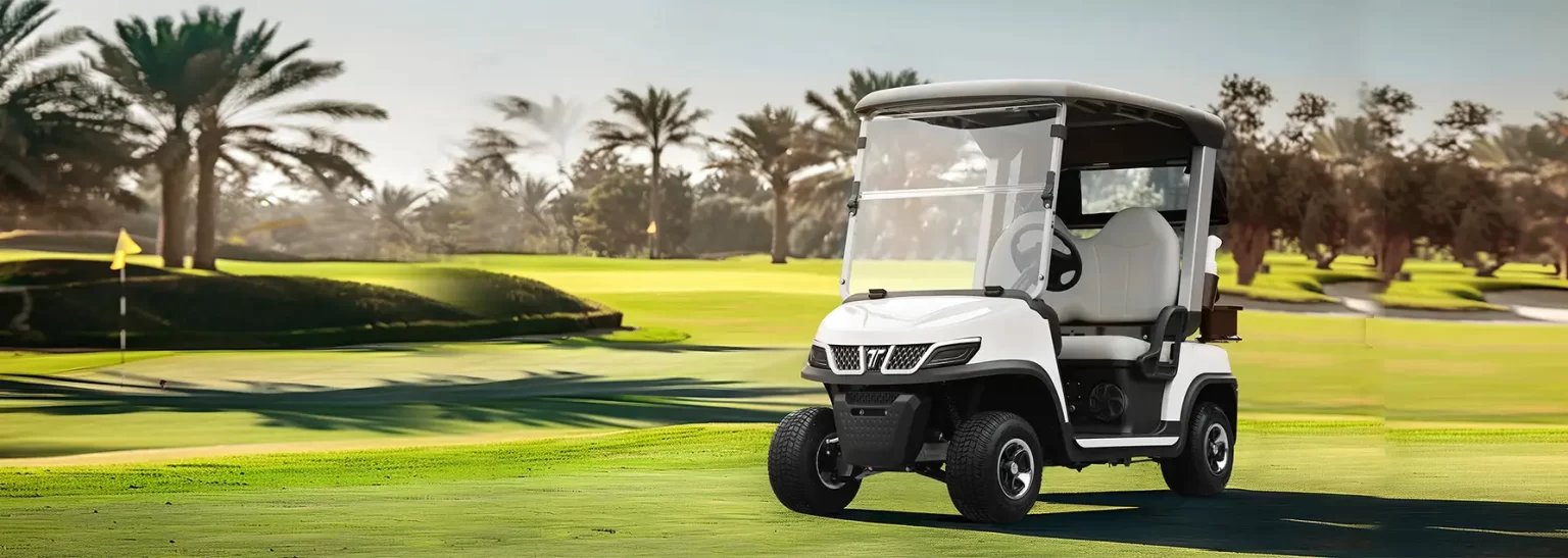 2025 TARA SPIRIT PRO 2 Seater Electric Golf Cart - Image 6